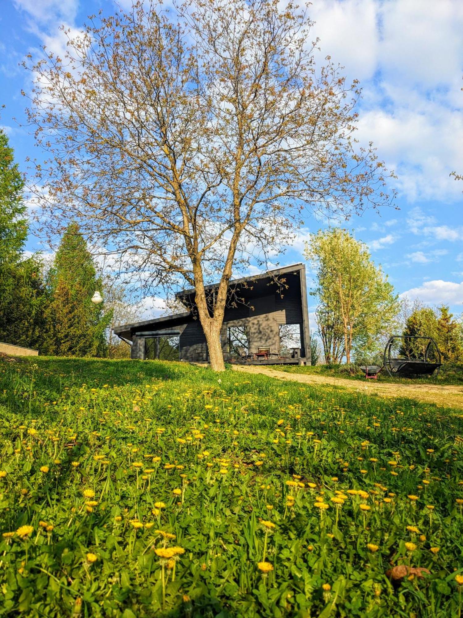 Izvoarele  Black Walnut House With Indoor Outdoor Fireplace מראה חיצוני תמונה