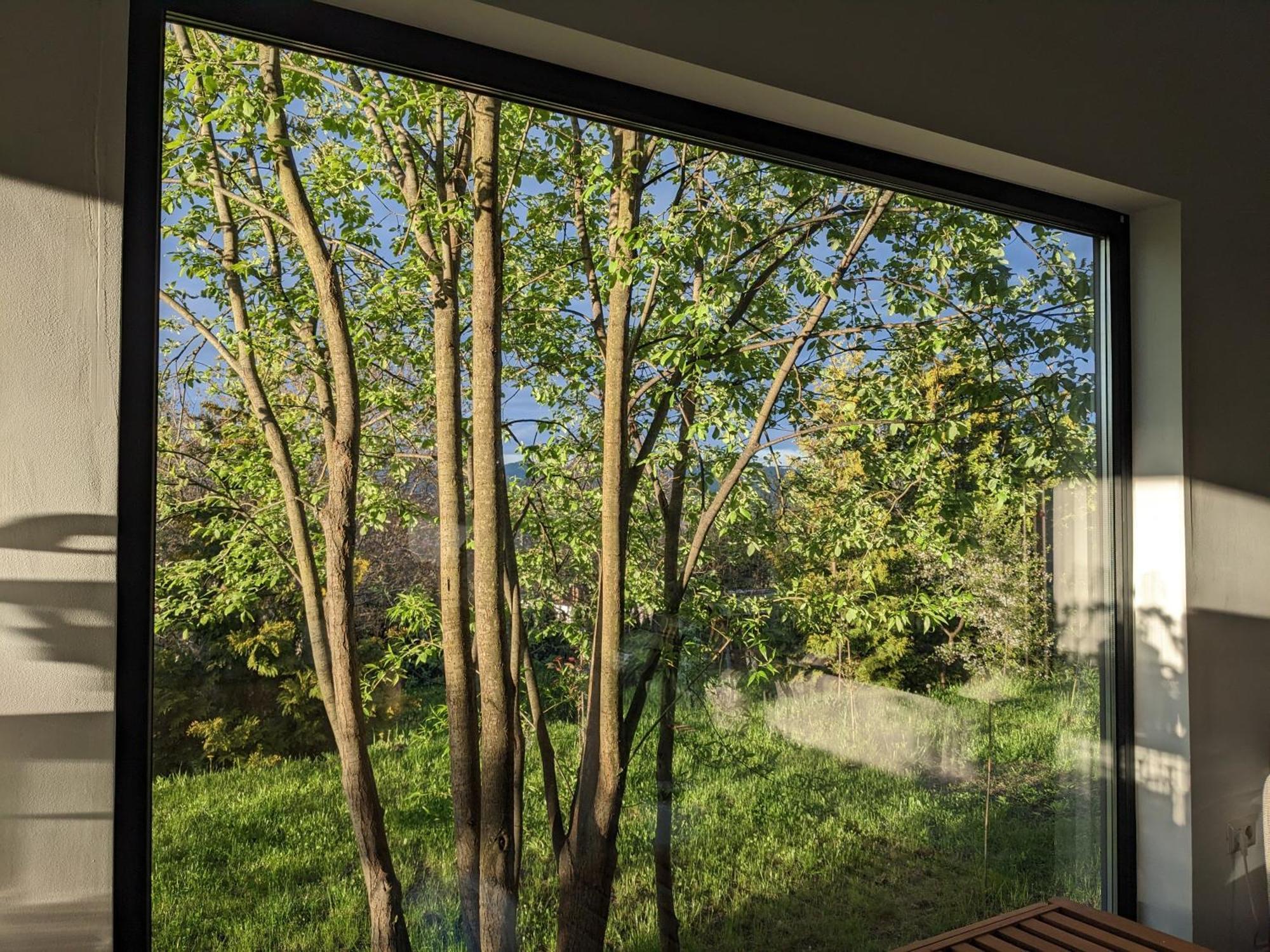 Izvoarele  Black Walnut House With Indoor Outdoor Fireplace מראה חיצוני תמונה